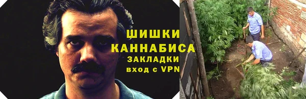 ГАЛЛЮЦИНОГЕННЫЕ ГРИБЫ Белокуриха
