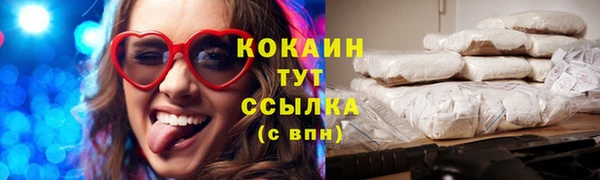 ГАЛЛЮЦИНОГЕННЫЕ ГРИБЫ Белокуриха