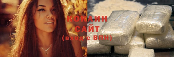 ГАЛЛЮЦИНОГЕННЫЕ ГРИБЫ Белокуриха