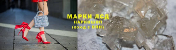 ГАЛЛЮЦИНОГЕННЫЕ ГРИБЫ Белокуриха