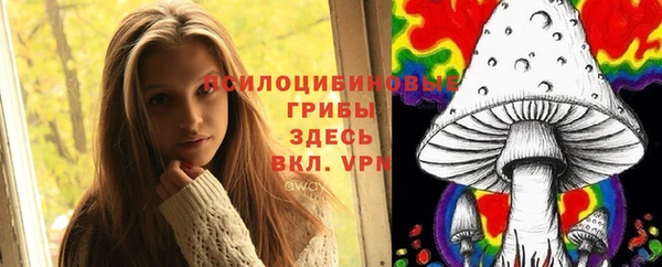 ГАЛЛЮЦИНОГЕННЫЕ ГРИБЫ Белокуриха